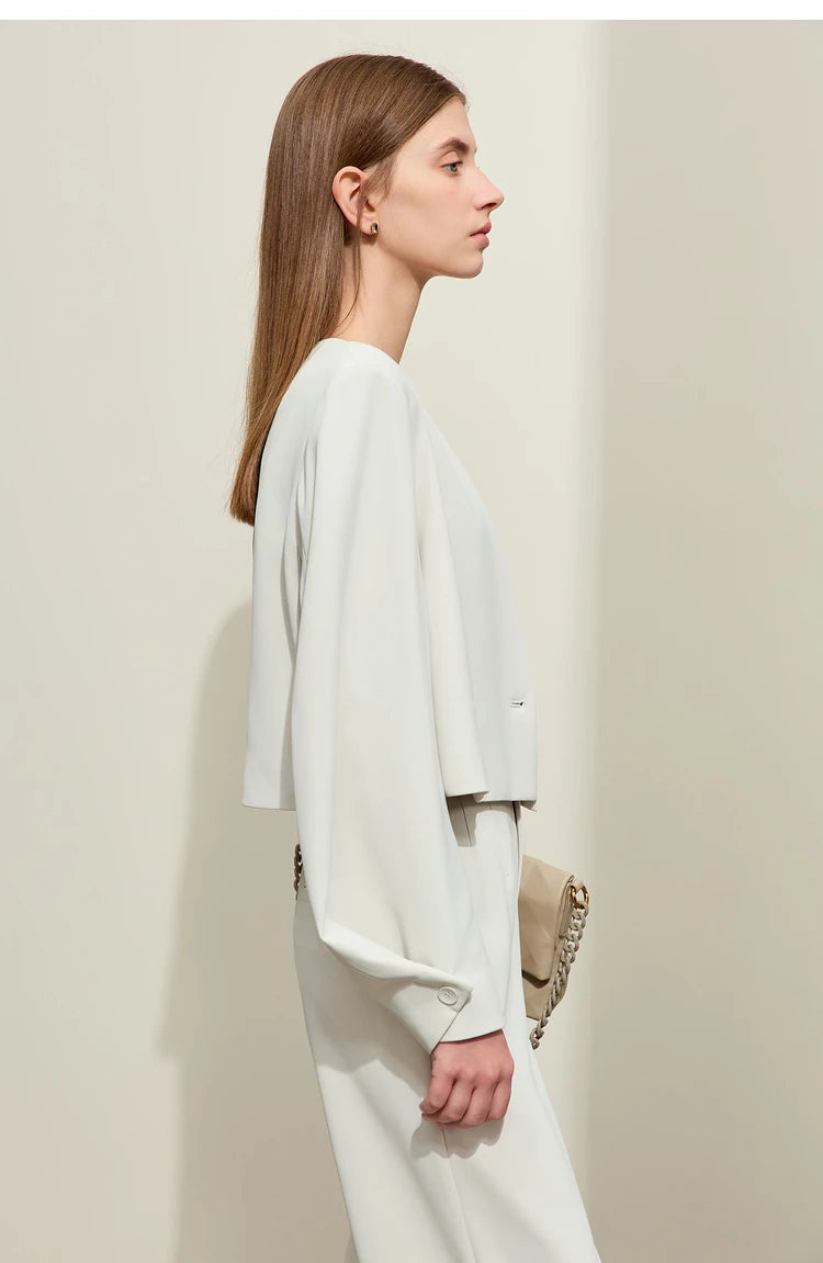 Loose Fit V-Neck Blazer and Wide Leg Pant Set