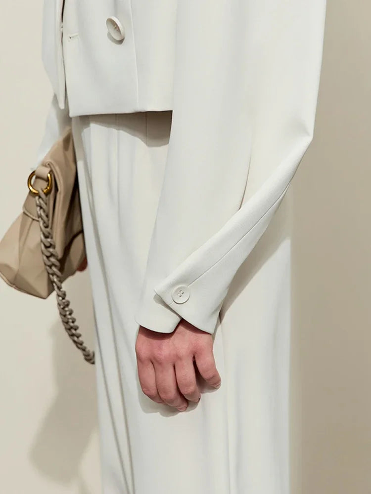 Loose Fit V-Neck Blazer and Wide Leg Pant Set